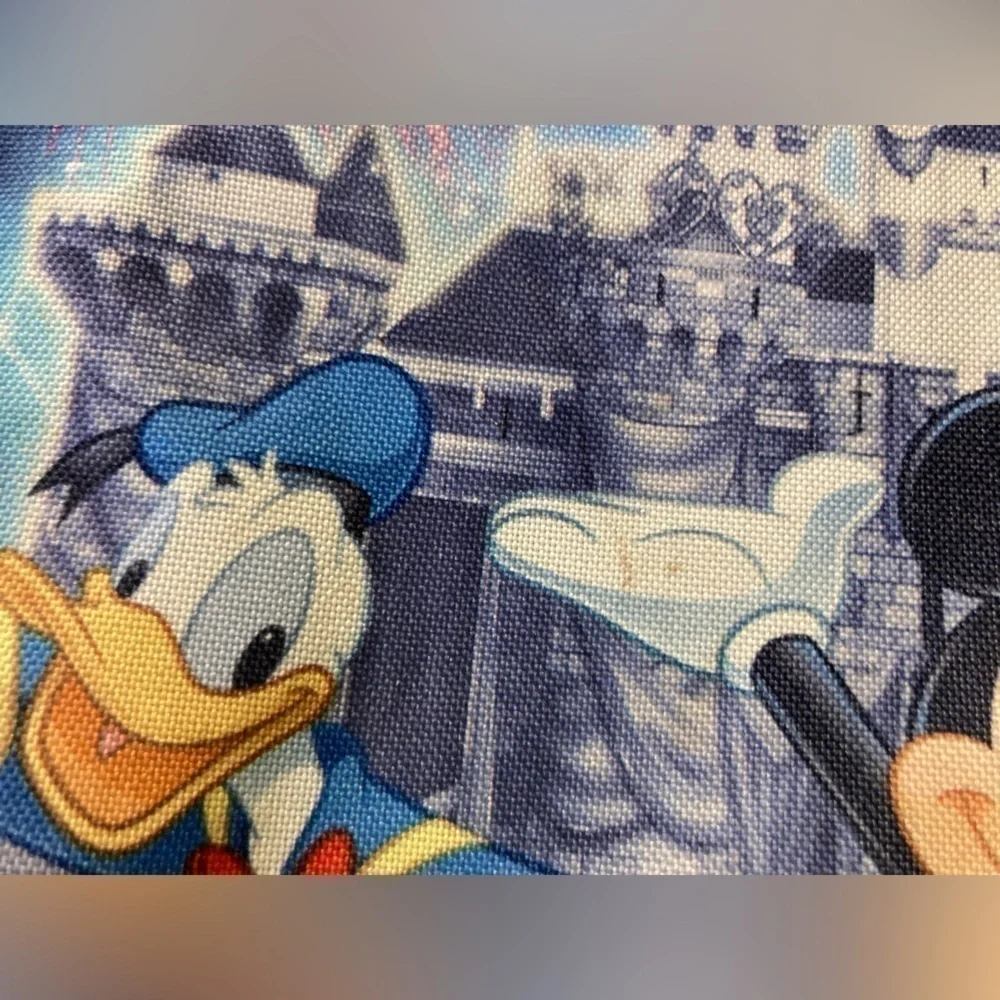 Disney world character zipper tote bag in blue from Disney world